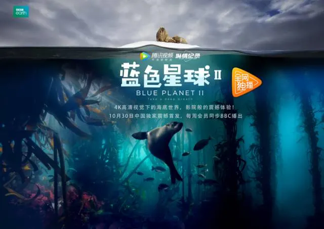 川畑千代子在线剧照2